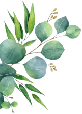 Hoja izquierda